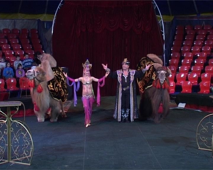 Цирк в томске 2024